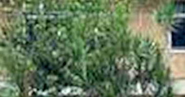 Apartamento padrão com 2 vagas, 75m², ocupado