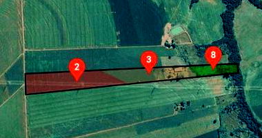 Imóvel Rural com 14.52 ha em Terra Roxa/PR - Ocupado