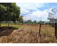 Terreno Rural com 65,76 hectares na Fazenda Campo Alegre