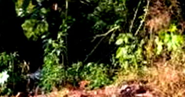 Terreno Urbano com 790,94m² em Dois Vizinhos/PR