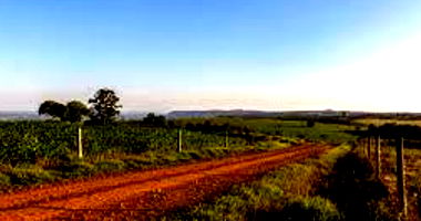 Terreno Rural em Leoberto Leal - SC