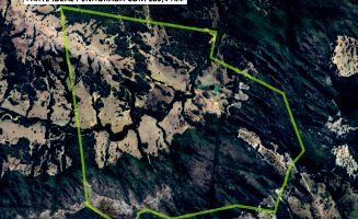 Parte ideal de 169,4 ha em Fazenda Menezes - Arenópolis/GO