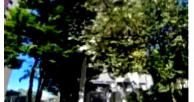 Apartamento com 1 vaga em São Paulo - Jardim Celeste