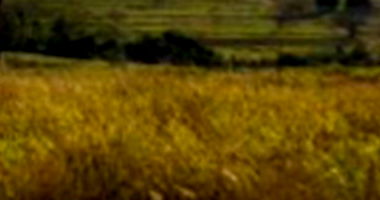 Terreno com 281,67m² no Parque Residencial Pérola III