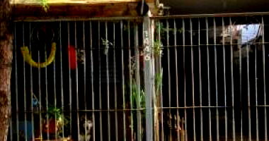 Casa com 2 quartos em Paicandu/PR