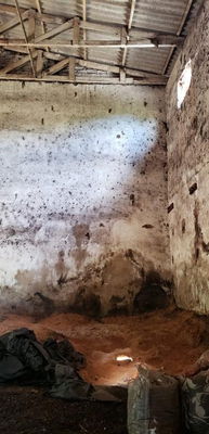 Lote Rural com Benfeitorias em Ampére - PR