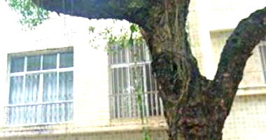 Apartamento com 1 quarto na Tijuca