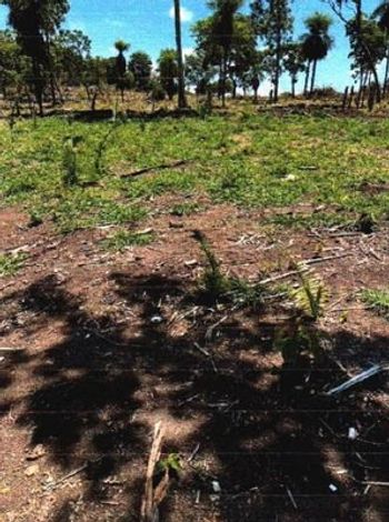 Fazenda Água Limpa em Piranhas-GO - 79,0054ha