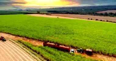 Fazendas Agrocanavieiras com 2.950 ha e Construções