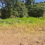 Lote Urbano n. 08 com 352,30m² em Palmitinho - RS