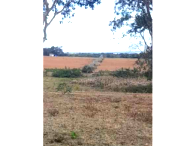 Parte ideal de terras rurais com 24,2 hectares