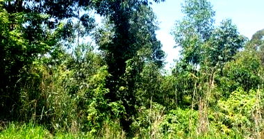 Terreno com 1.122,10m² em Itupeva/SP