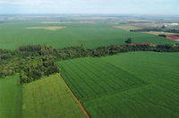 Imóvel Rural com Área Total de 11,22ha em Palotina/PR
