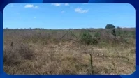 Gleba de Terras com 239.546m² próximo à BR-316 em Araripina/PE