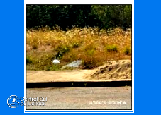 Terreno em Iaçanga com 339,30m²