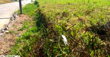 Terreno Urbano com 360m² em Laurentino-SC