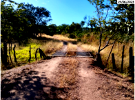 Fazenda Vargem Grande - 122.7883ha - Taguatinga/TO