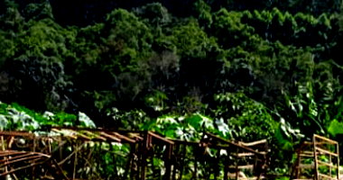 Terreno urbano de 498,92m² em Encantado/RS