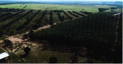 Fazenda Caracol - 62ha com estrutura rural em Rio Verde de MS