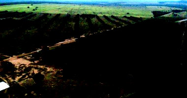 Fazenda Caracol - 62ha com estrutura rural em Rio Verde de MS
