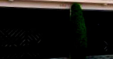 Casa com 3 quartos, 2 banheiros, 1 vaga, 133,94m² construída, ocupada