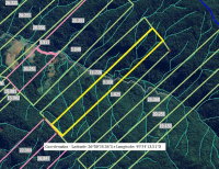 Terreno rural com 253m², sem benfeitorias, aclive acentuado