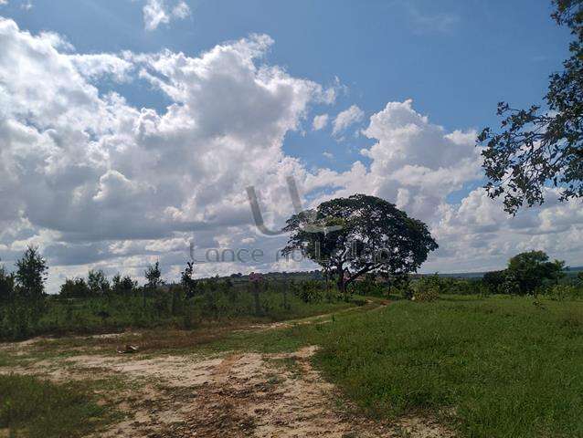 Fazenda São José I e II com 1016,50 ha em Joo Pinheiro - MG