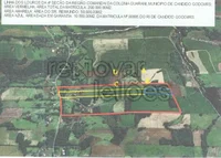 Terreno Rural com 10.000m² em Cândido Godói - RS