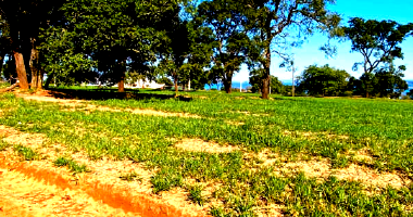 Terreno em Loteamento