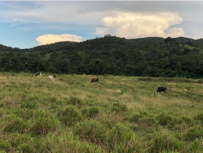 Fazenda São João com 7 alqueires, casas e currais