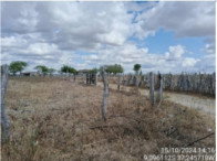 Sítio com 30 hectares, casa, barreiro e pastagens cultivadas