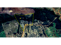 Gleba rural de 12 hectares, área total ampla, desocupada