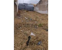 Terreno Amplo em Fernandópolis com 250m²