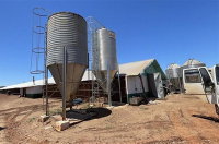Imóvel Rural com Aviários e Usina Solar em Nova Santa Rosa - PR