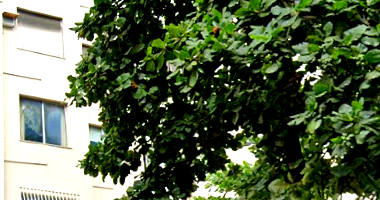 Apartamento em Ipanema com 1 quarto e 1 banheiro