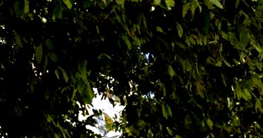 Sobrado na Glória - Oportunidade Imperdível!