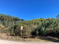 Terreno Amplo em Rio dos Cedros - 3.632,73m²
