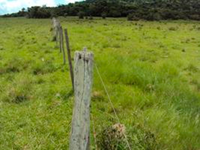 Terreno Rural com 70.000m² em São Vicente do Sul - RS
