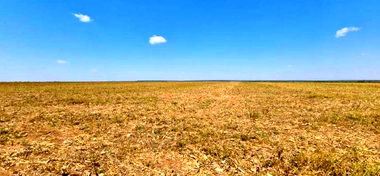 Fazenda Esmeralda com 1.020,32 hectares em MT com 50% de desconto