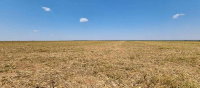 Fazenda Esmeralda com 1.020,32 hectares em MT com 50% de desconto