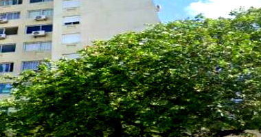 Apartamento 1007 com Box de Garagem em Sarandi