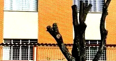 Apartamento com 2 Quartos e 1 Banheiro em Campo Grande