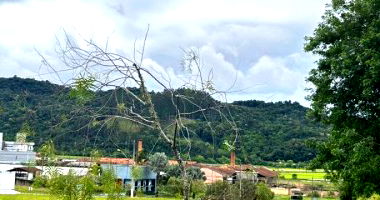 Terreno Amplo em Agronômica/SC
