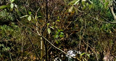 Terreno Urbano com 378m² em Nova Petrópolis/RS