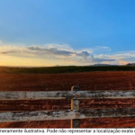 Fazenda Rex - Poços de Caldas com grande área rural