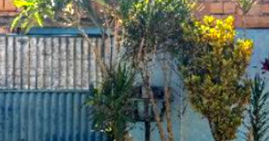 Casa em Luziânia/GO com 55m² - Parque Estrela Dalva X