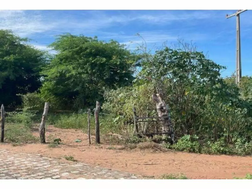 Terreno Amplo em Leilão - Areia Branca/RN
