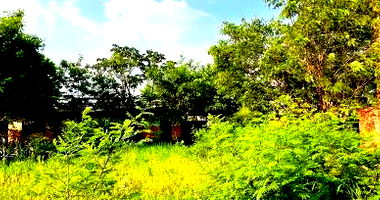 Galpão Industrial com 1311m² construídos e 6000m² de terreno, em ótimo local para investimentos