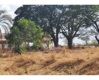 Terreno Urbano com Galpões em Votuporanga - 31.110m²