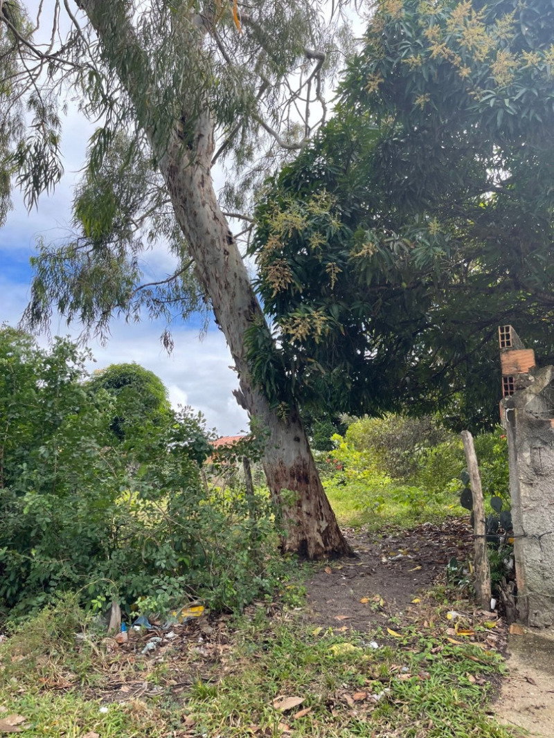 Imóvel com 400m² em loteamento RGA
